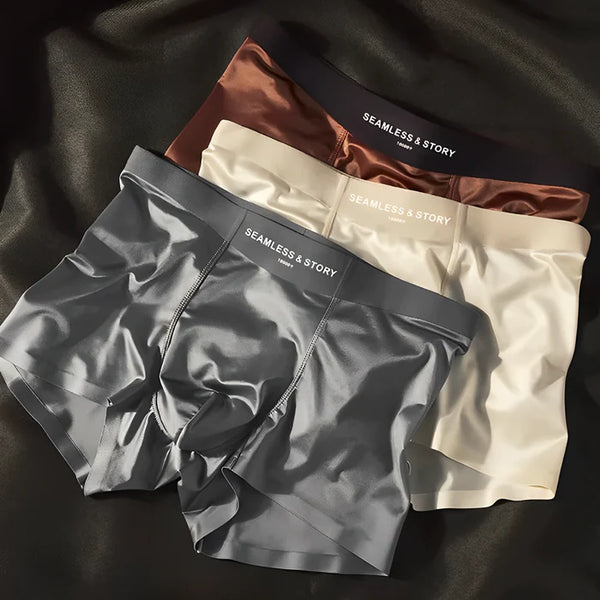 Gentleman's Silk Briefs